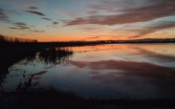 Paseo en barca al atardecer | Lo mejor de Albufera con La Cleo