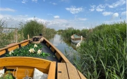 Paseo  en barca por la  Albufera | experiencia  con La Cleo 